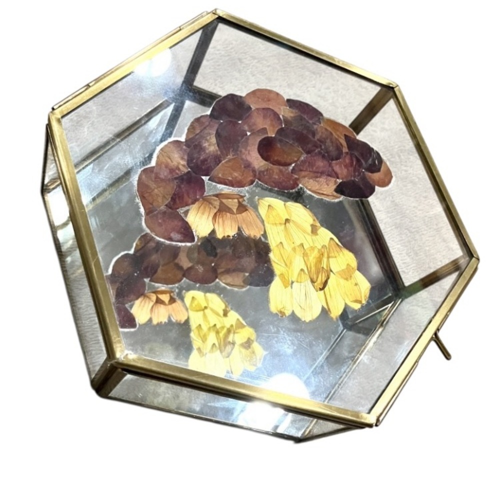 Hexagonal Glass Display Box Dried Pressed Flowers Mushroom Trinket Box